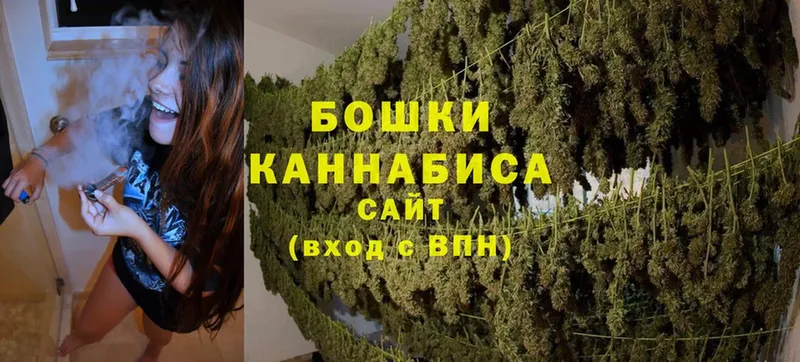 Бошки марихуана Bruce Banner  даркнет сайт  Моздок 